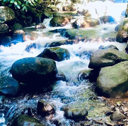 Refugium Silent Wings - With Natural Pool